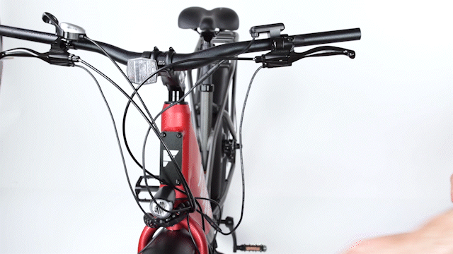15__Disconnect-Left-Brake-Lever_1.gif